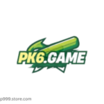 pk6 game